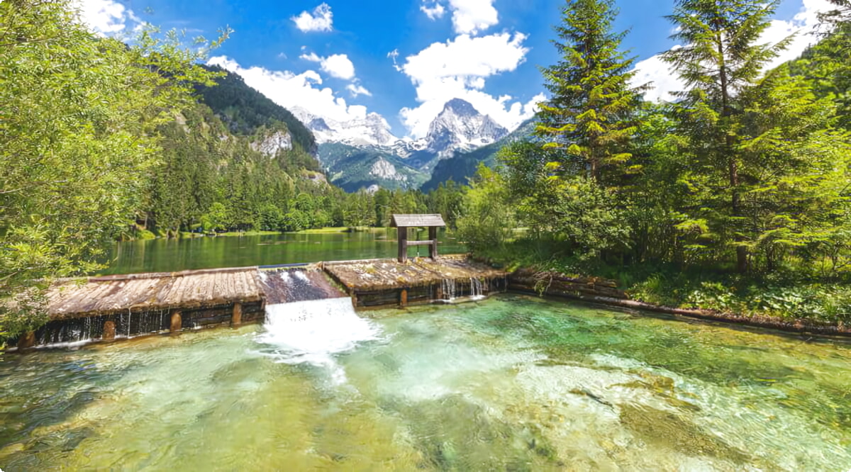 I nostri servizi di noleggio auto offrono una vasta selezione di veicoli a Hinterstoder.